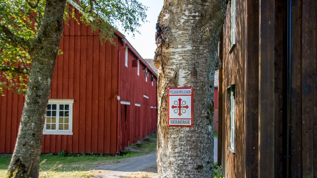 A pilgrimtrail sign on a tree
